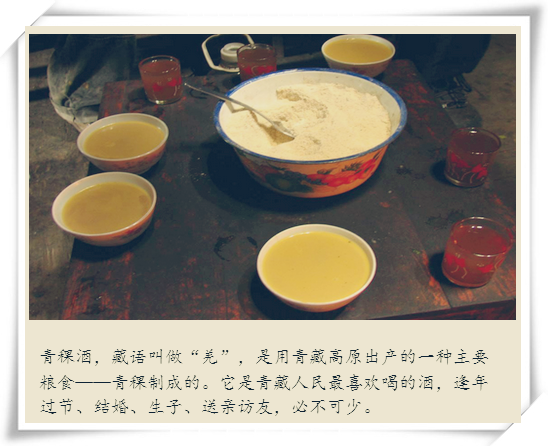青稞酒_副本